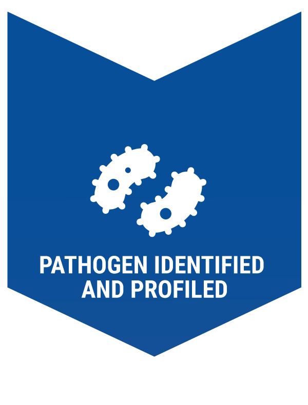 pathogen identified and profiled