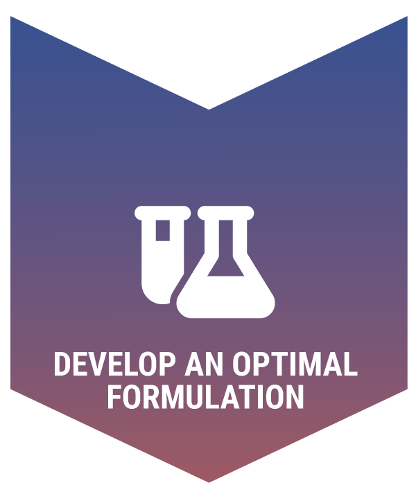 develop an optimal formulation