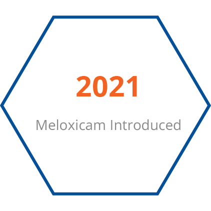 2021 Meloxicam Introduced